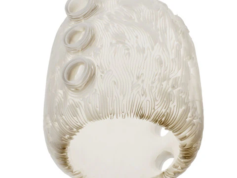 ПОДВЕСНОЙ СВЕТИЛЬНИК ФАИНА ИДЕЯ СЛУХАЧ 3D Модель