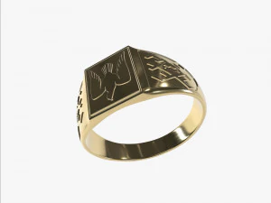 Ring Falcon 3D Print Model