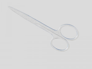 Scissors 3D Model