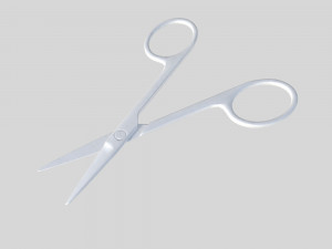Scissors 3D Model