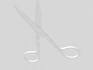 Scissors 3D Model