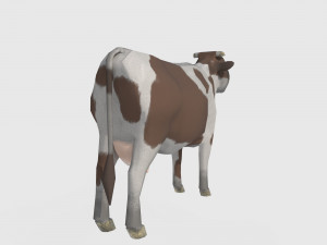 Brown and white cow 3D 模型