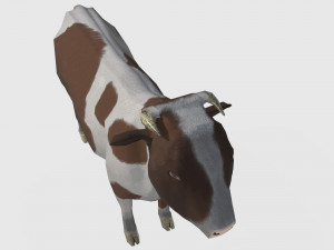 Brown and white cow 3D 模型