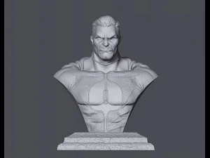 omniman 3D Print Model