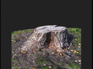 stamp 3Dモデル