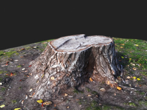 stamp Model 3D