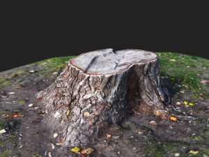 stamp Model 3D