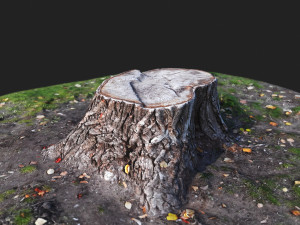 stamp Model 3D