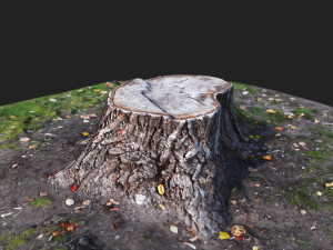 stamp Model 3D
