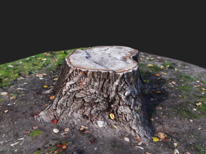 stamp Model 3D