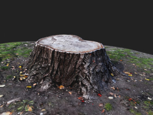 stamp Model 3D