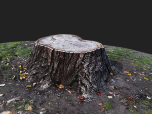 stamp 3D Model