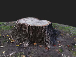 stamp Model 3D