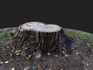 stamp Model 3D