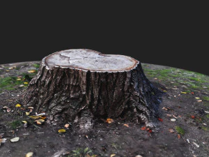 stamp 3D Model