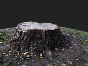 stamp Model 3D