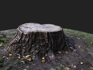 stamp 3D Model