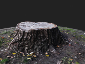 stamp Model 3D
