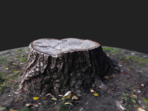 stamp Model 3D