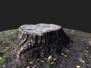 stamp 3D Model