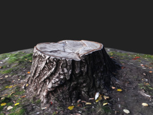 stamp Model 3D