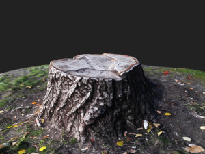 stamp Model 3D