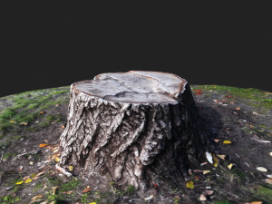 stamp Model 3D