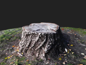 stamp 3D Model
