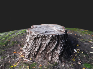 stamp Model 3D