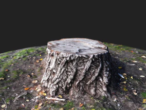 stamp 3D Model