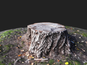 stamp Model 3D
