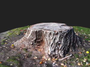 stamp Model 3D