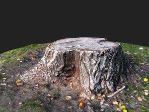 stamp 3D Model