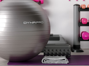 excellent fitness set 3Dモデル