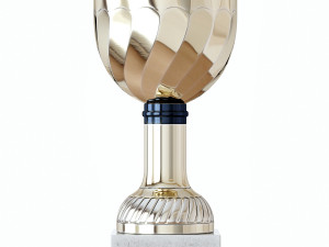 sports awards 3D Модель