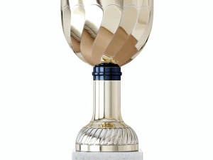 sports awards 3D Model