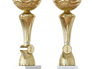 sports awards 3D Модель