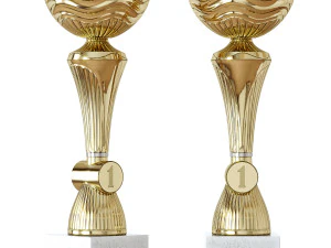 sports awards 3D Model