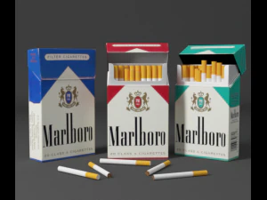 cigarette 3D Model