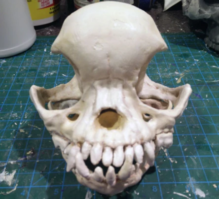 pug skull 3D Print Model .c4d .max .obj .3ds .fbx .stl .blend 