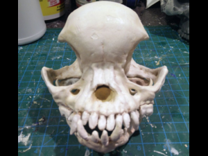 pug skull 3D Print Model