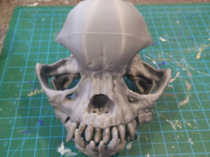 pug skull 3D Print Model