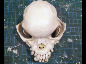 pug skull 3D Print Model