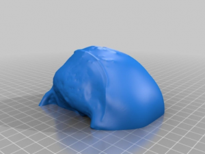 pug skull Model do druku 3D