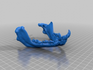 pug skull Model do druku 3D