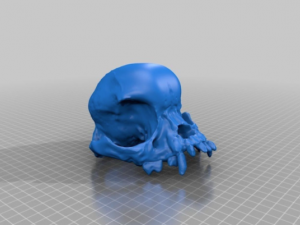 pug skull Model do druku 3D