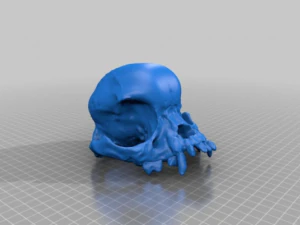pug skull 3D Print Model