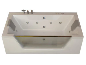 bathtub glass 3D Model