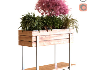 plants tree set 028 Modello 3D
