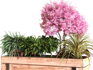 plants tree set 028 Modello 3D